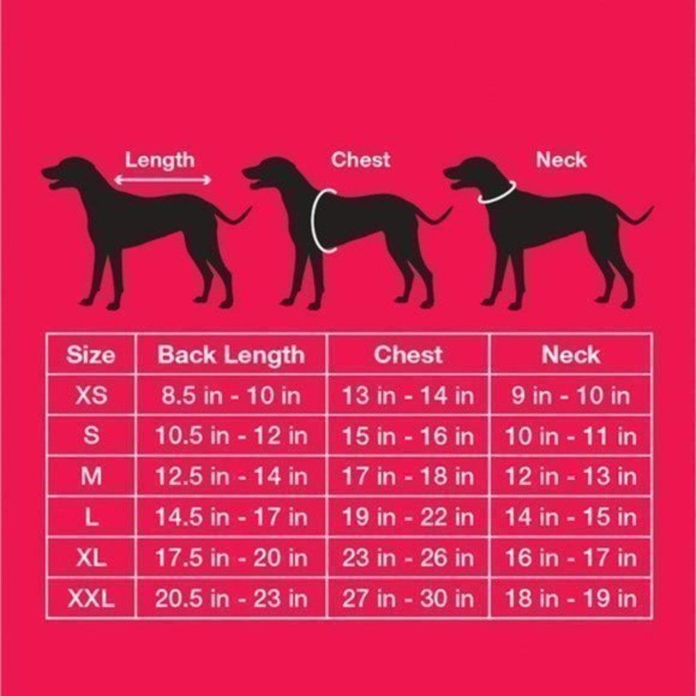 Pet-XL - Picture 5 of 5